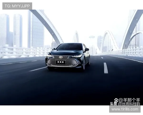 武汉排球队在洲际杯积分榜上以62分稳居第一名，展现强劲实力